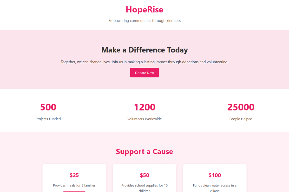 Hope Rise Non-Profit