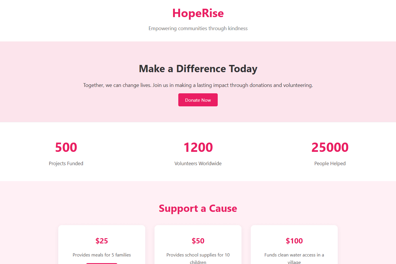 Hope Rise Non-Profit